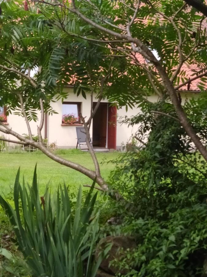 Agroturystyka Owczarnia Villa Kętrzyn Esterno foto