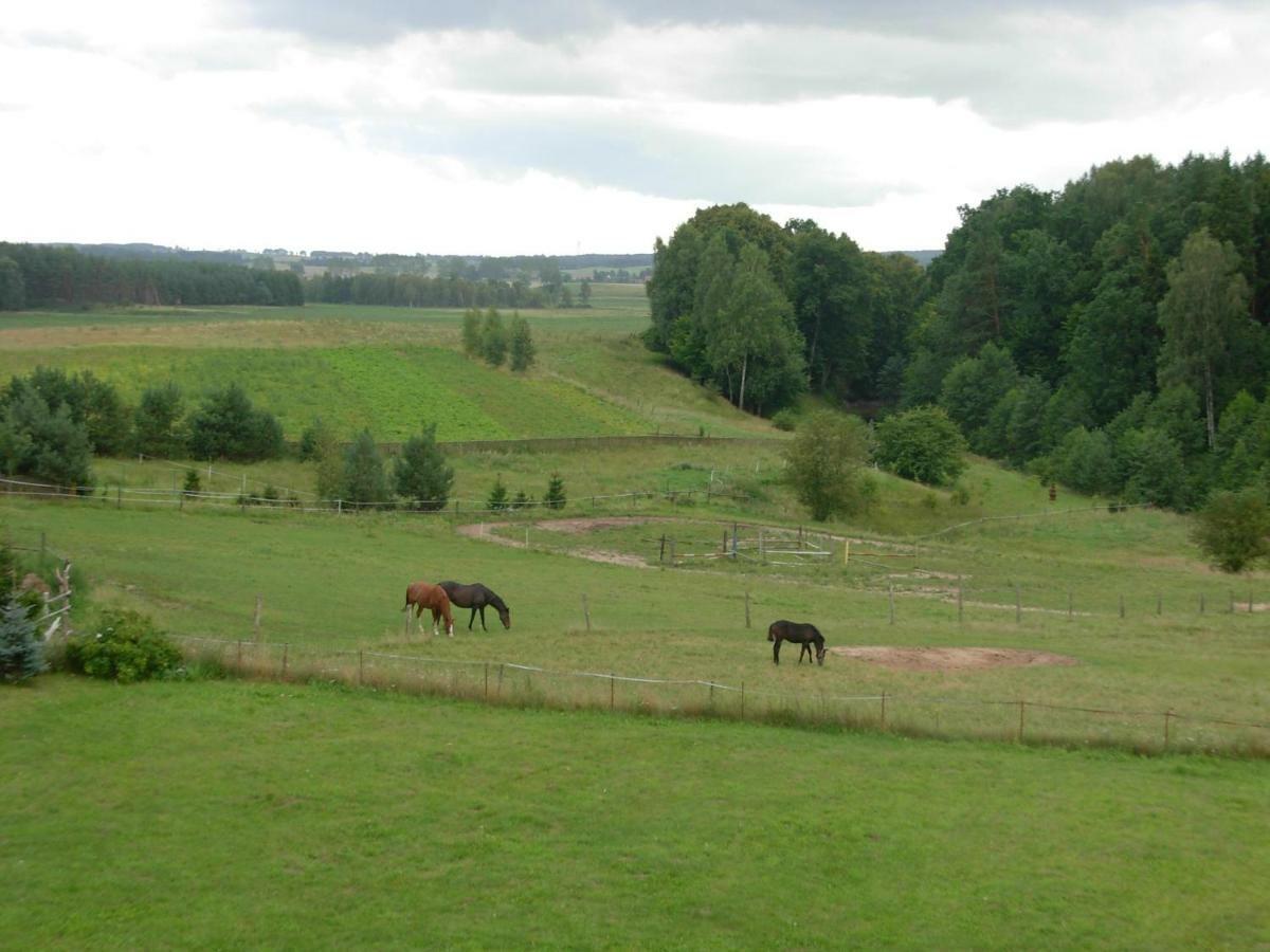 Agroturystyka Owczarnia Villa Kętrzyn Esterno foto